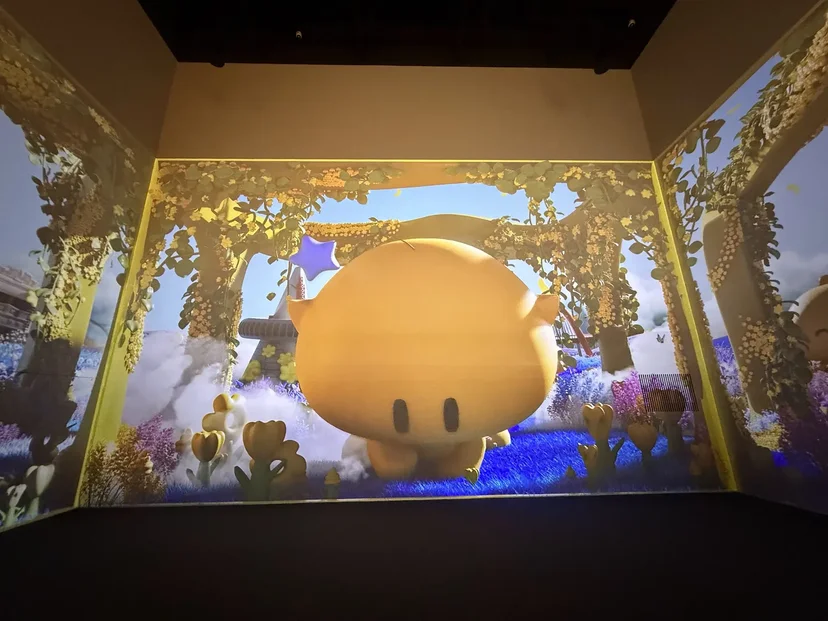 Immersive Three-Sided Video Installation
