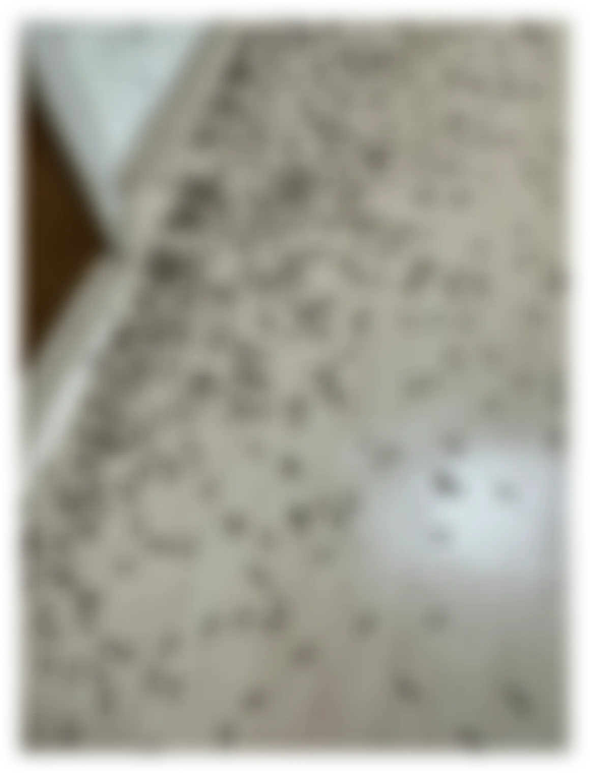 비행해충 방역 사례