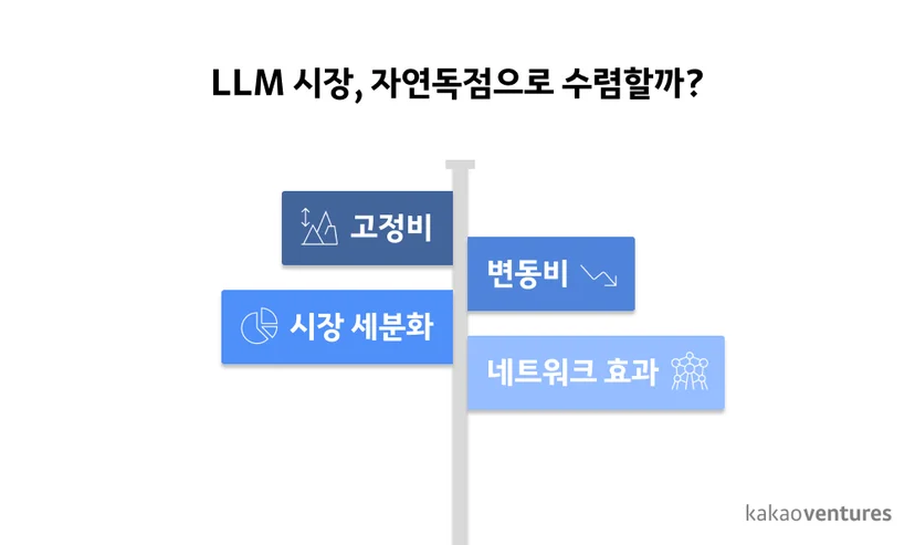LLM 자연독점