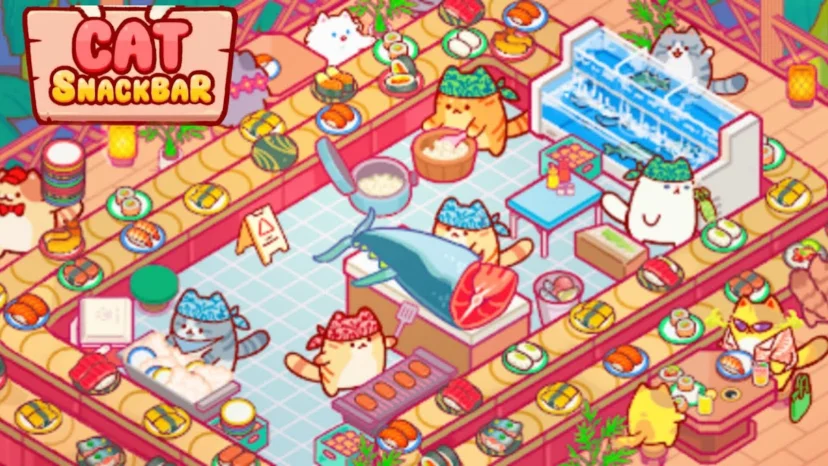 catsnackbar