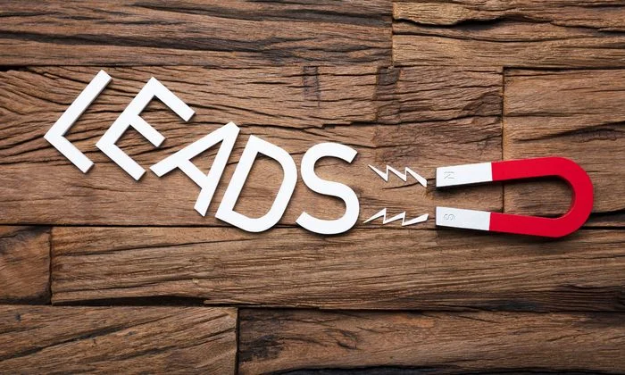 Red horseshoe magnet attracting the word 'LEADS'