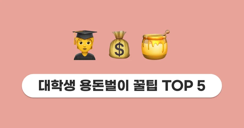 피클플러스 콘텐츠