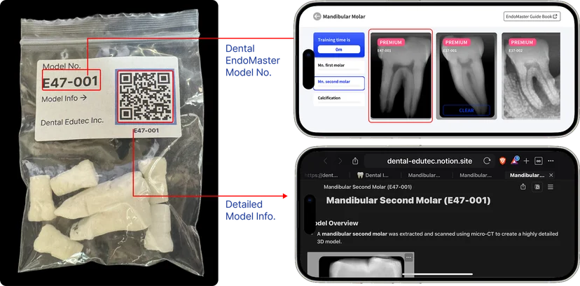 Smart tooth model package