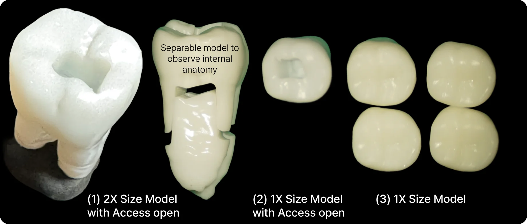 Tooth models in package