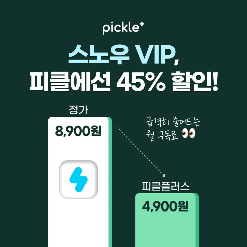 스노우할인