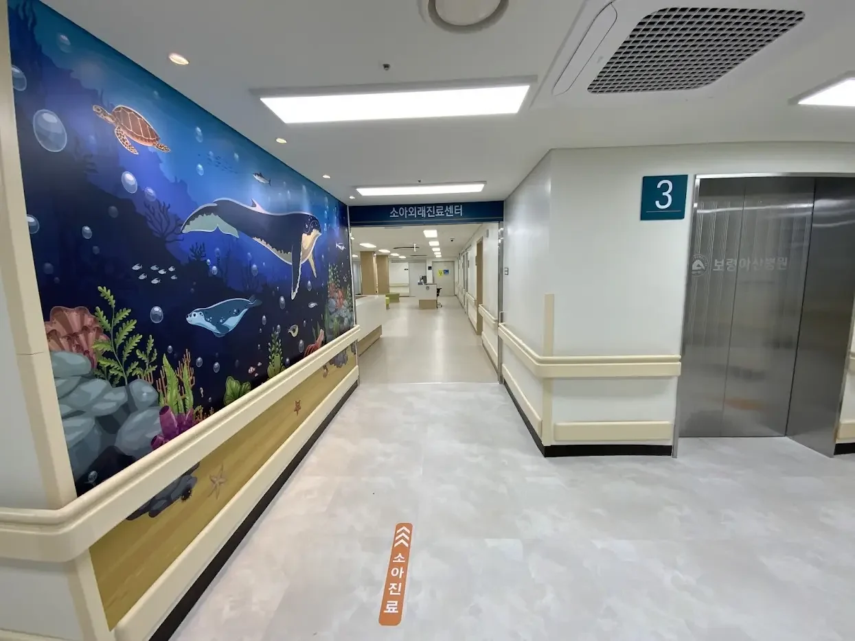 Boryeong Asan Hospital