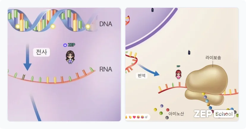 젭스쿨 수업 자료 꾸러미 최후의 항체: 내 안의 희망