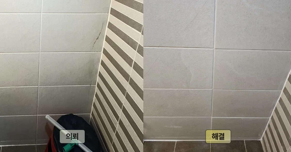 타일 교체 완료