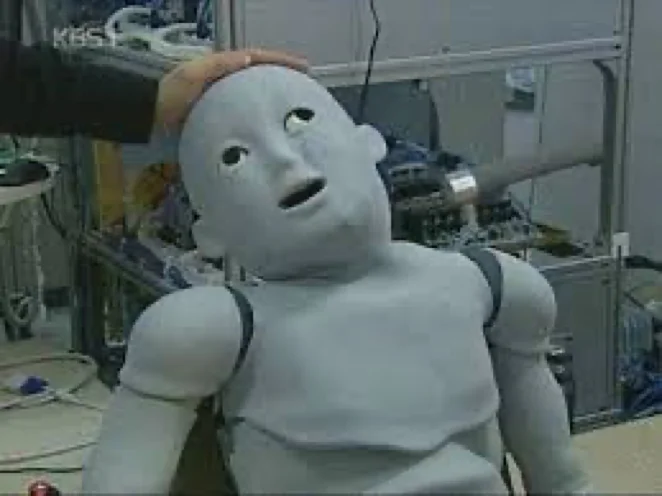 휴머노이드 로봇