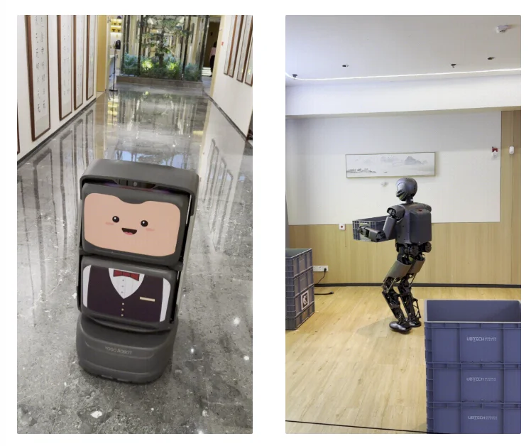 중국 로봇