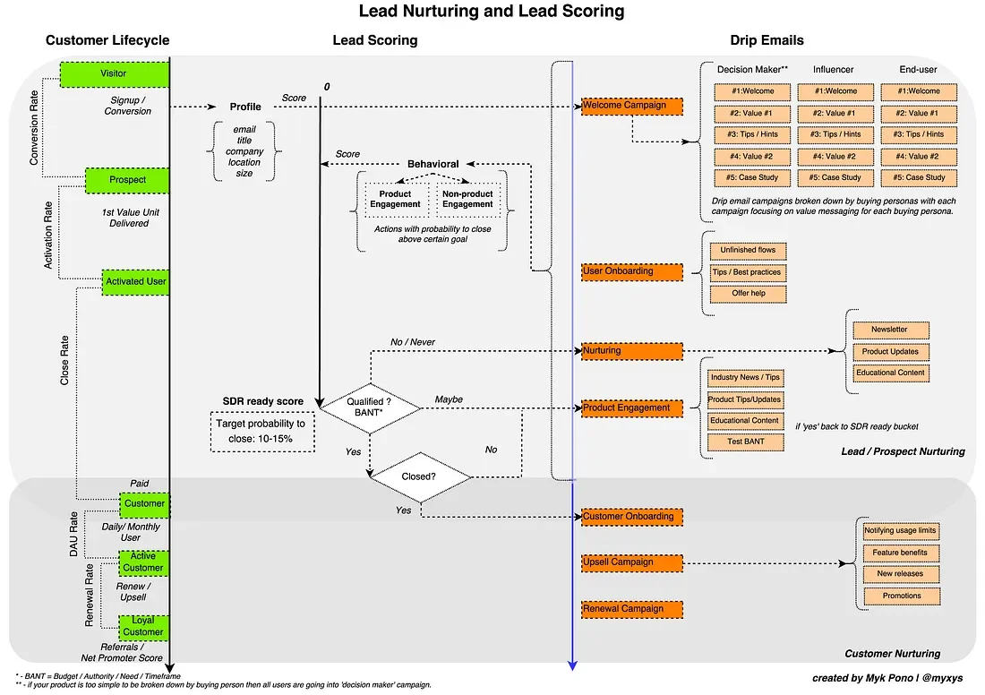lead nurturing & lead scoring