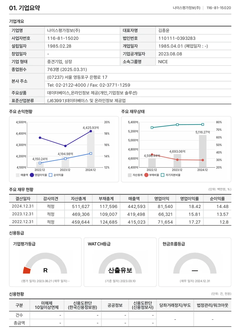 기업신용분석보고서