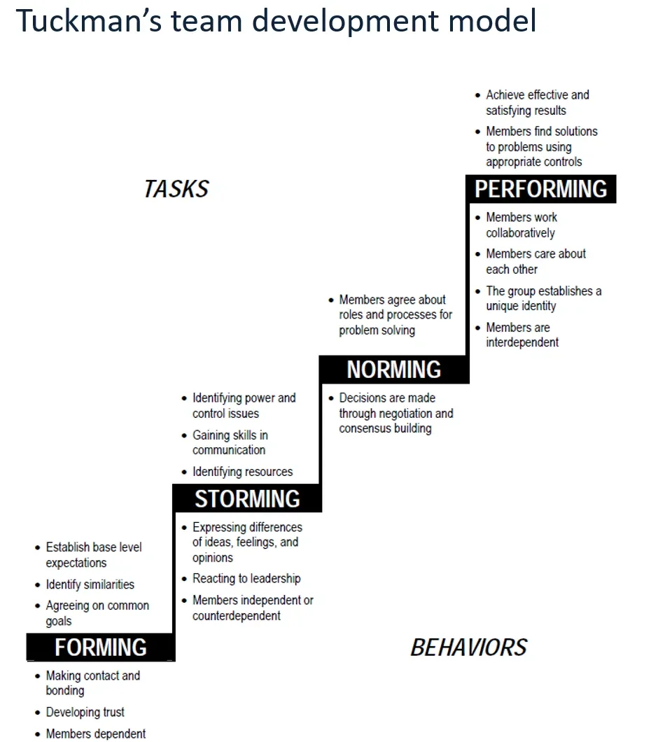터크만 모델: 팀 발달의 4단계