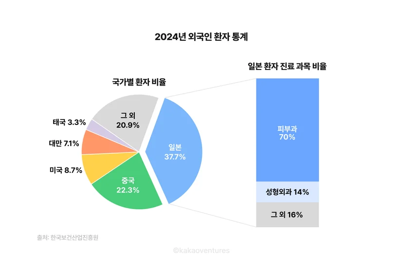 2024년 외국인 환자 국적 통계, 2024년 일본 환자 진료 과목 비율