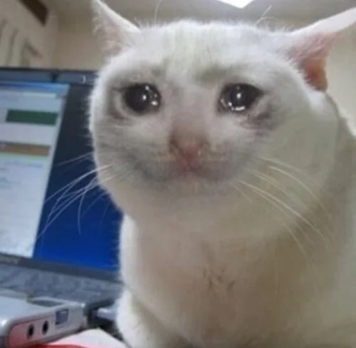 crying cat