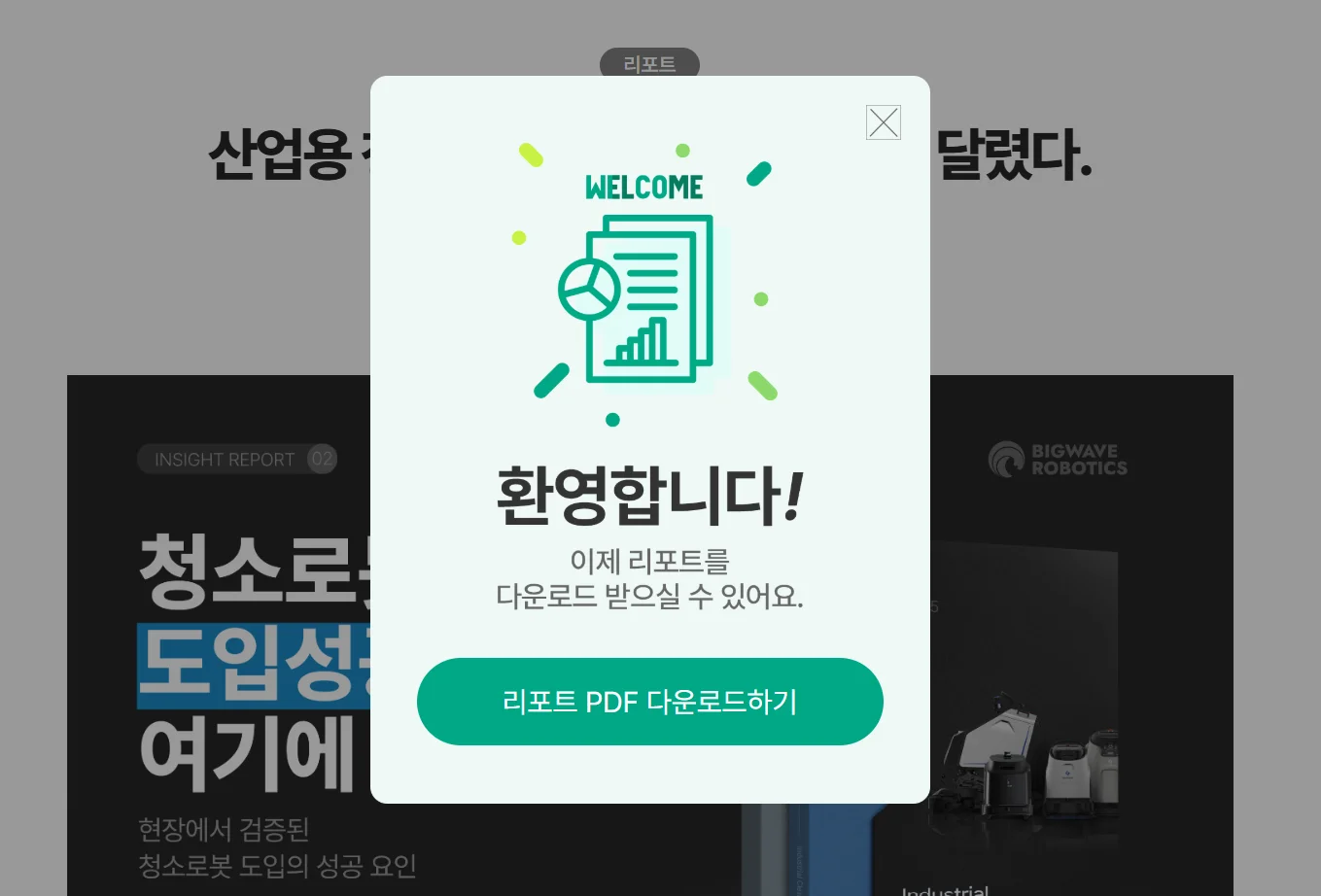 리드 마그넷 리포트 콘텐츠 개발