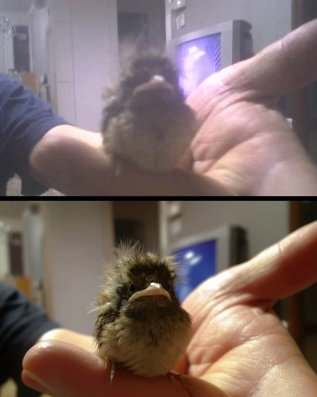 나노바나나의 이미지 복원 기능을 활용해 흐릿한 옛날 사진을 선명하게 만든 결과물