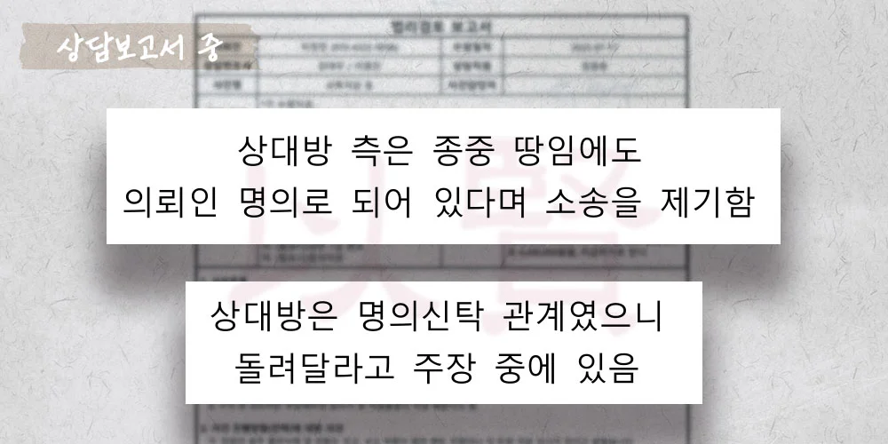 조상땅이라고 주장하며 소송 제기를 받은 상담보고서 중