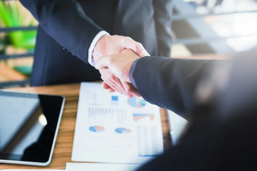 M&A 실사