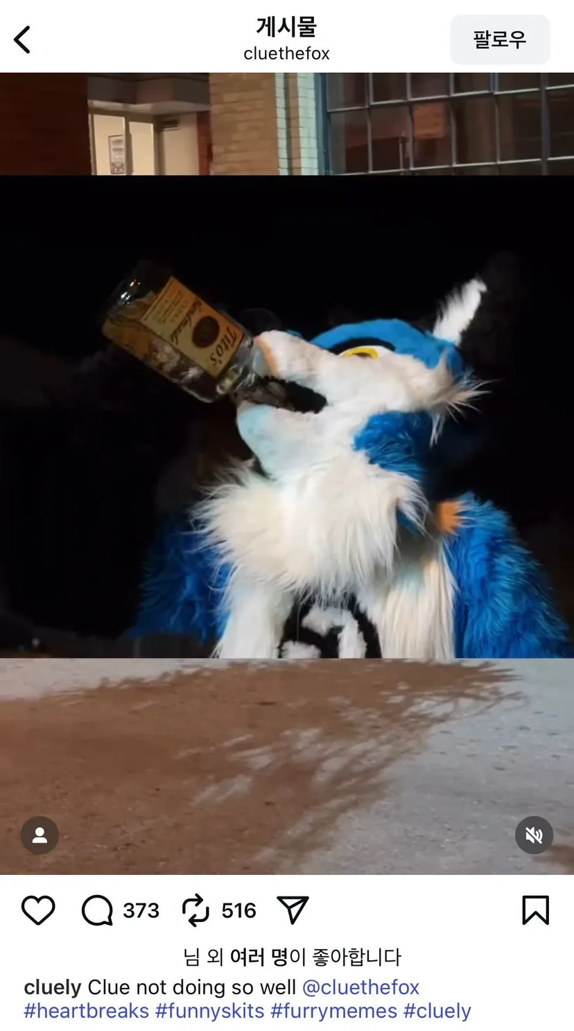 Clue the Fox