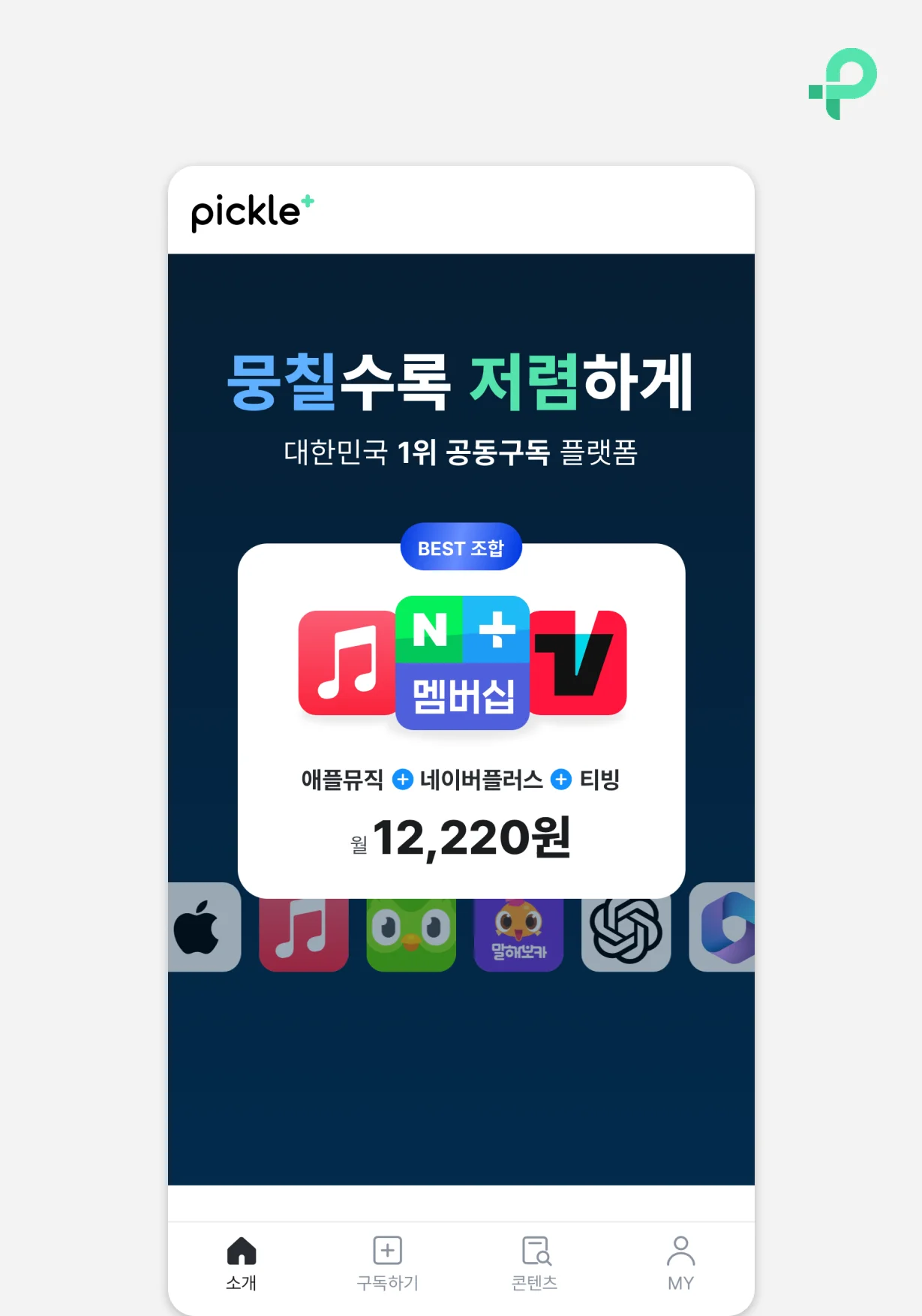 에픽 피클플러스