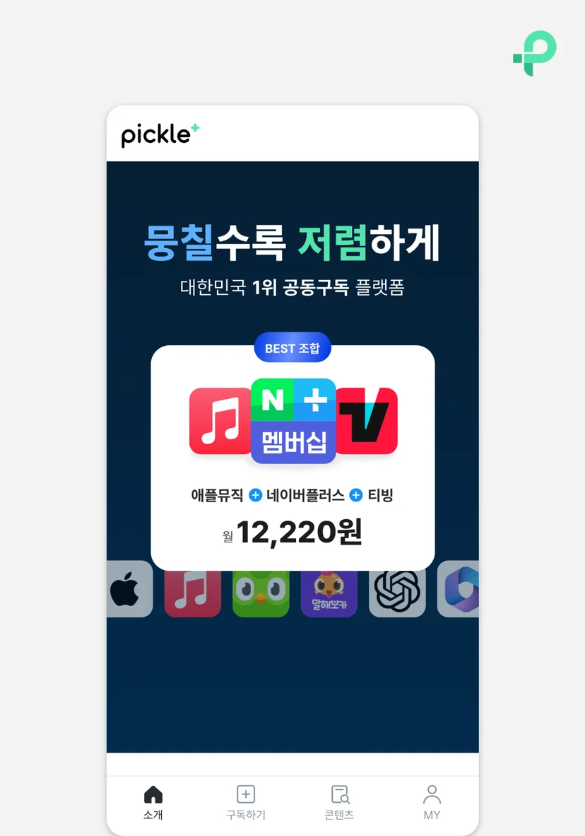 에픽 피클플러스