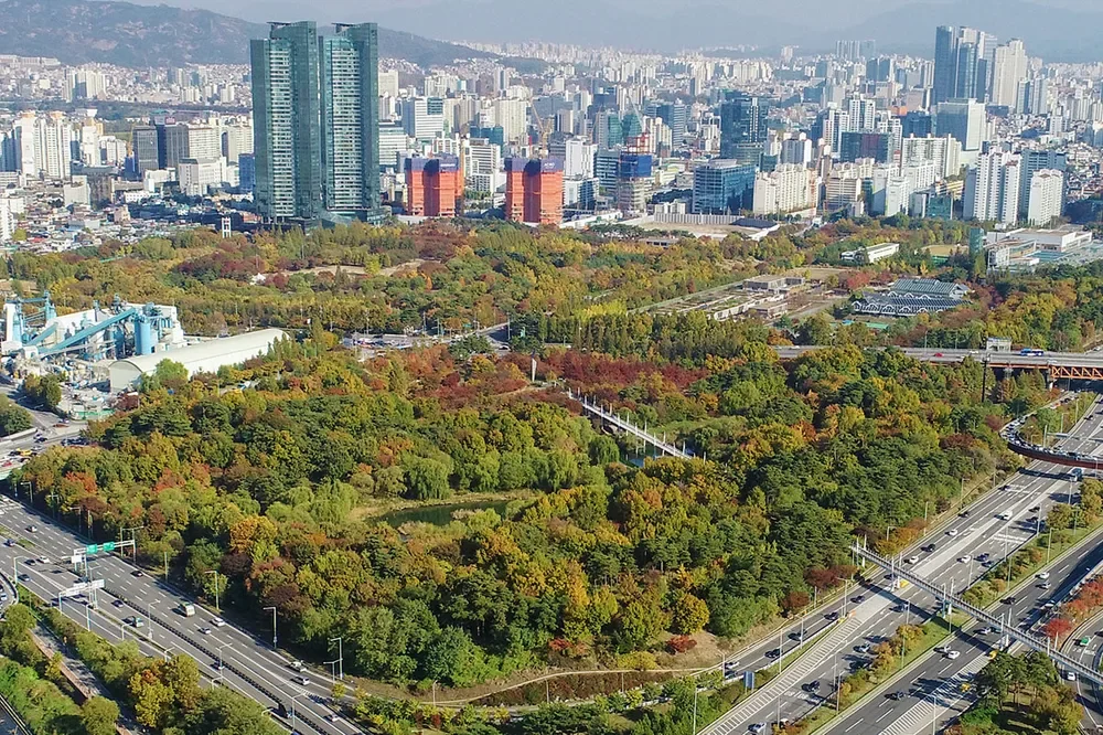 Seoul Forest