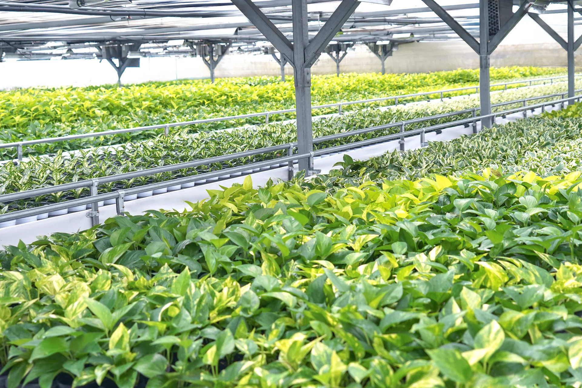 에코피플의 진천 실내식물 농장