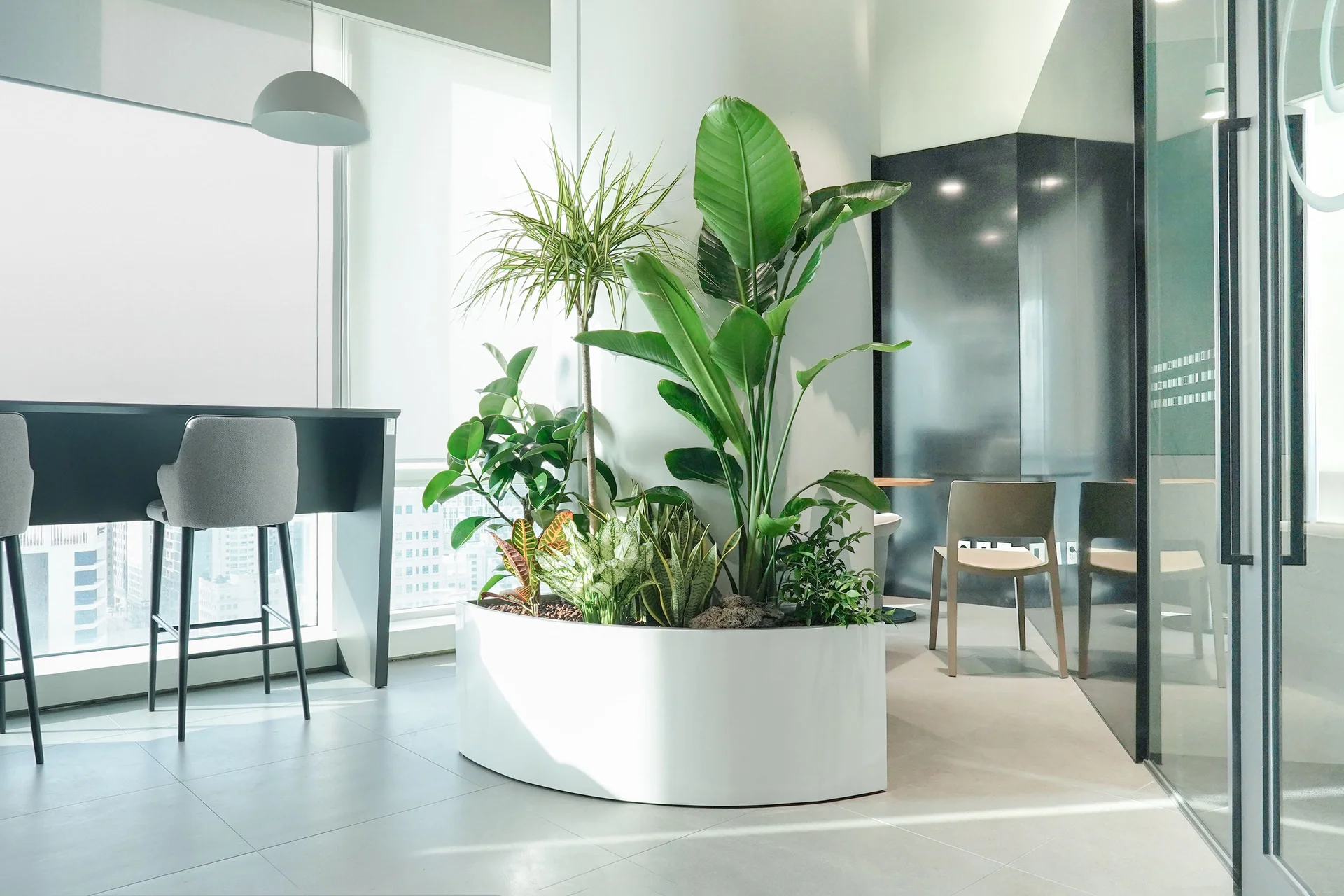 에코피플 플랜테리어 사례