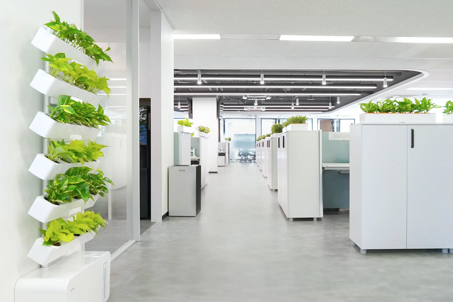 스킨답서스를 활용한 그린오피스