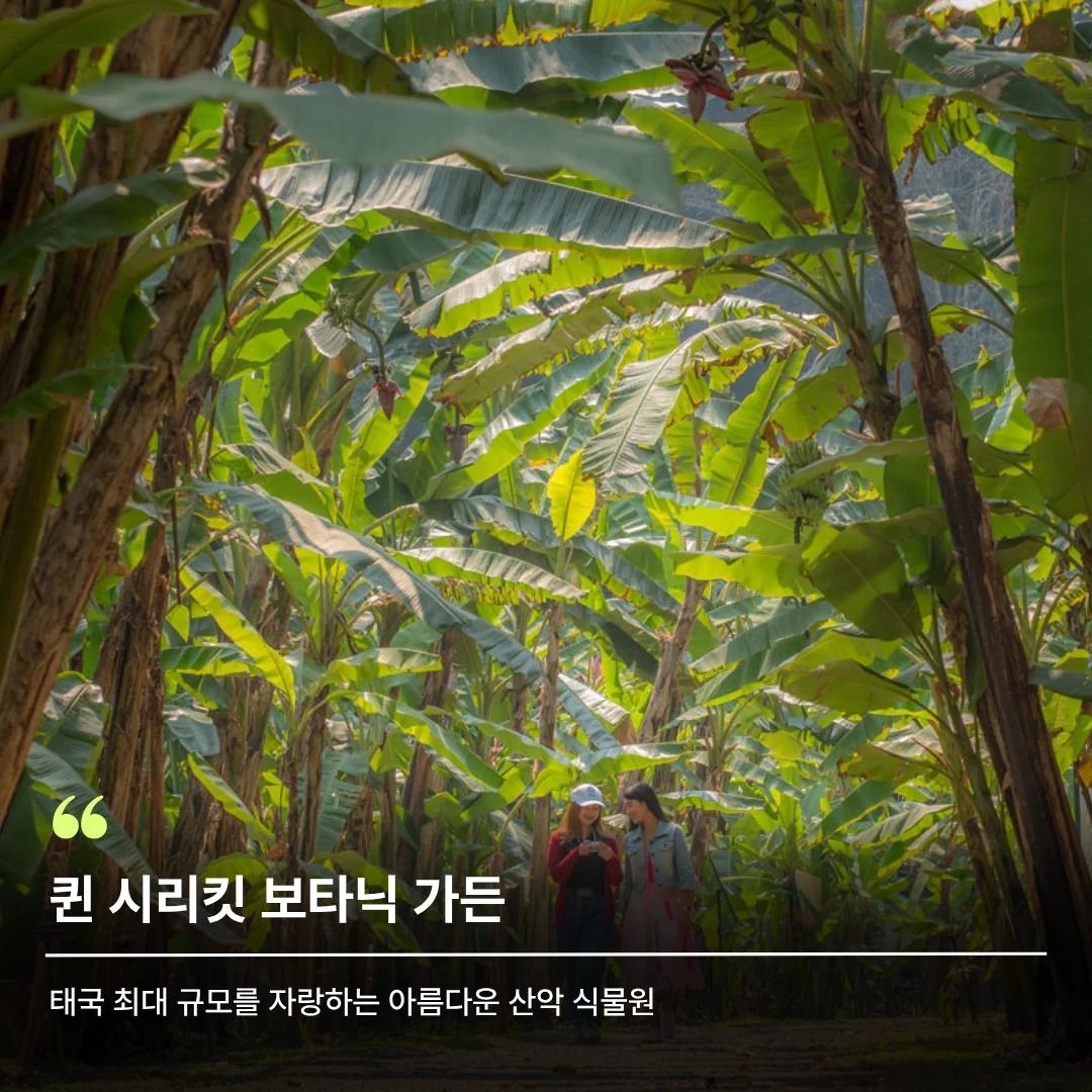 식물원, 치앙마이 가든, 치앙마이 식물원