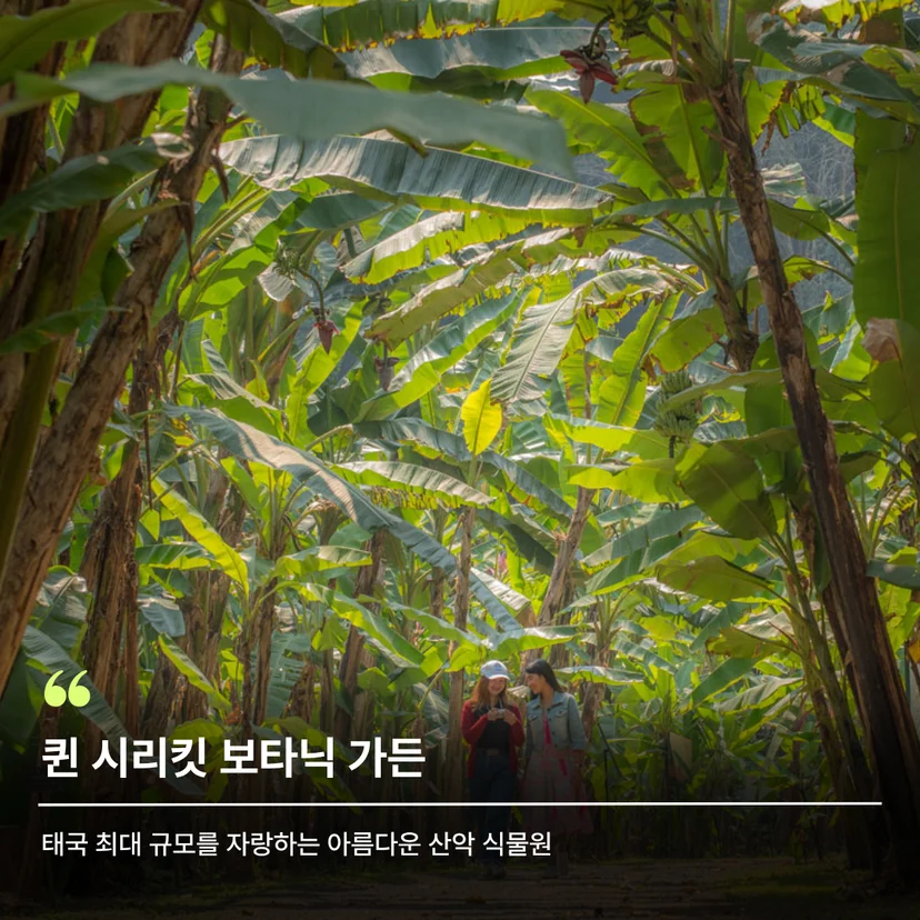 식물원, 치앙마이 가든, 치앙마이 식물원