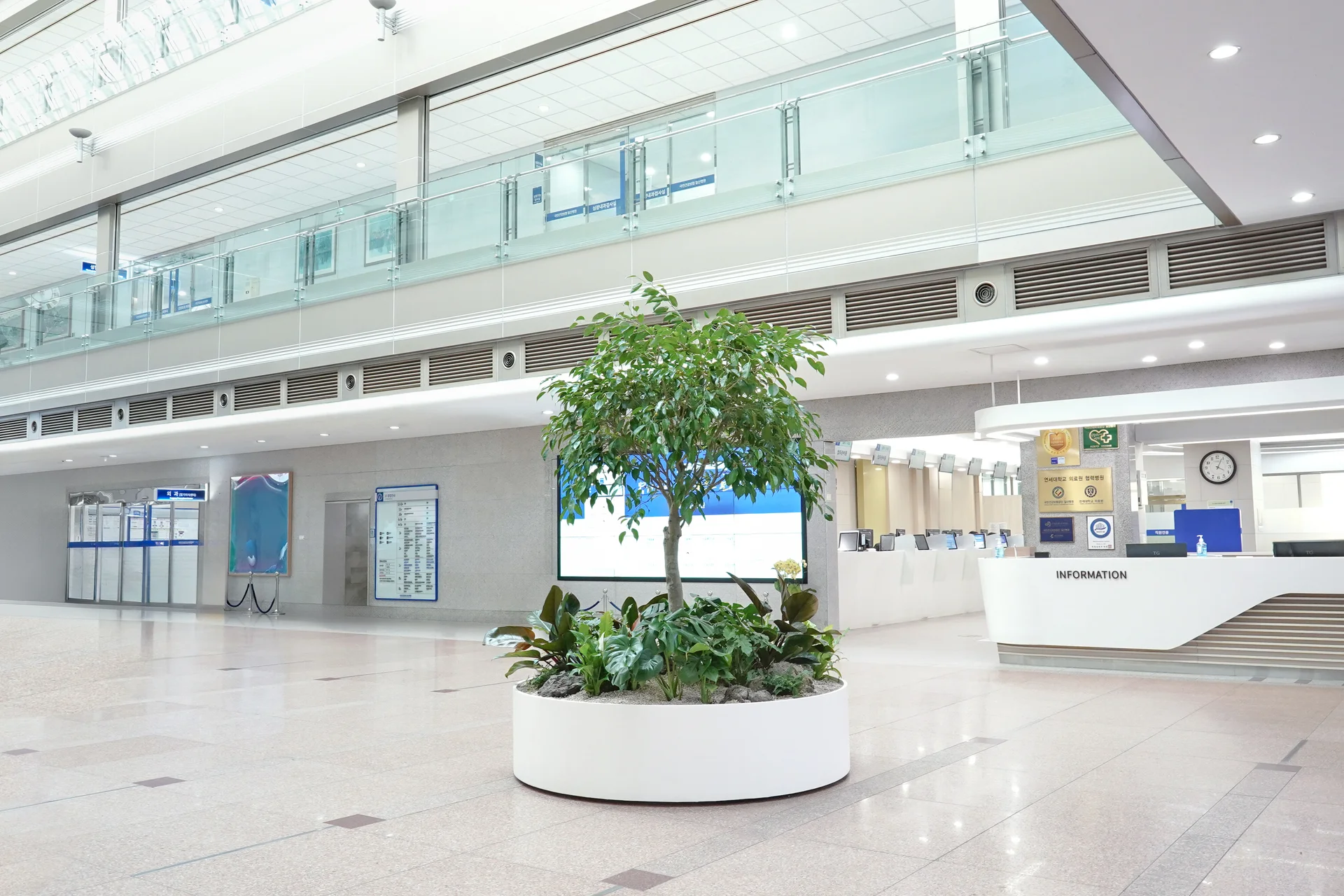 일산병원 로비에 배치된 원형플랜터의 모습이다.