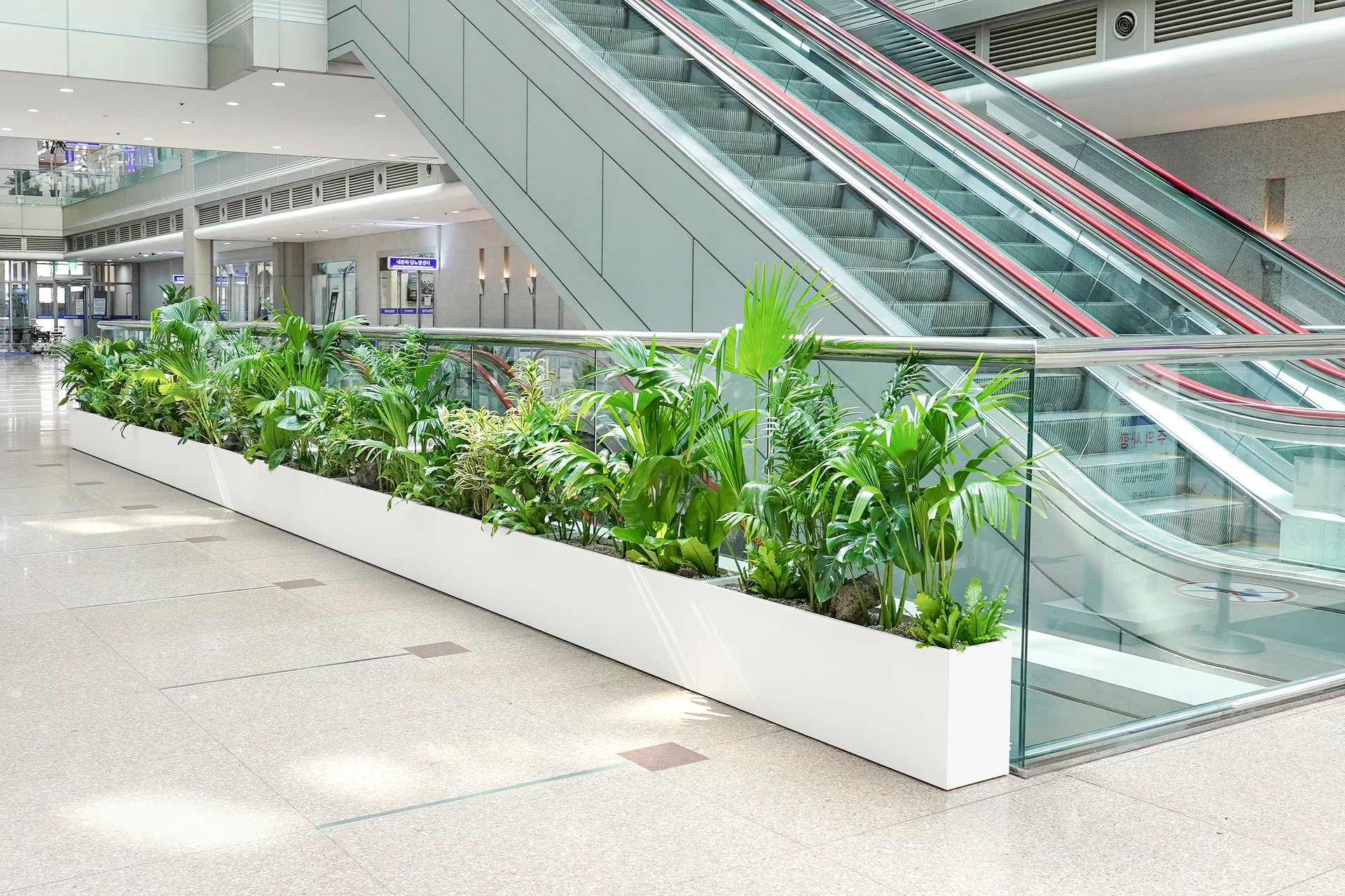 에스컬레이터 옆 배치한 플랜트박스로 공간을 구분하고 있다.
