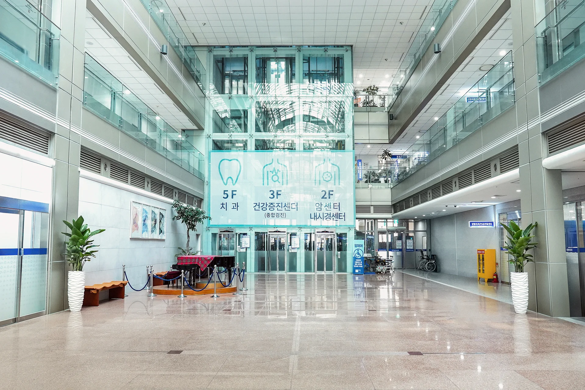 병원 복도에 배치한 디자인화분