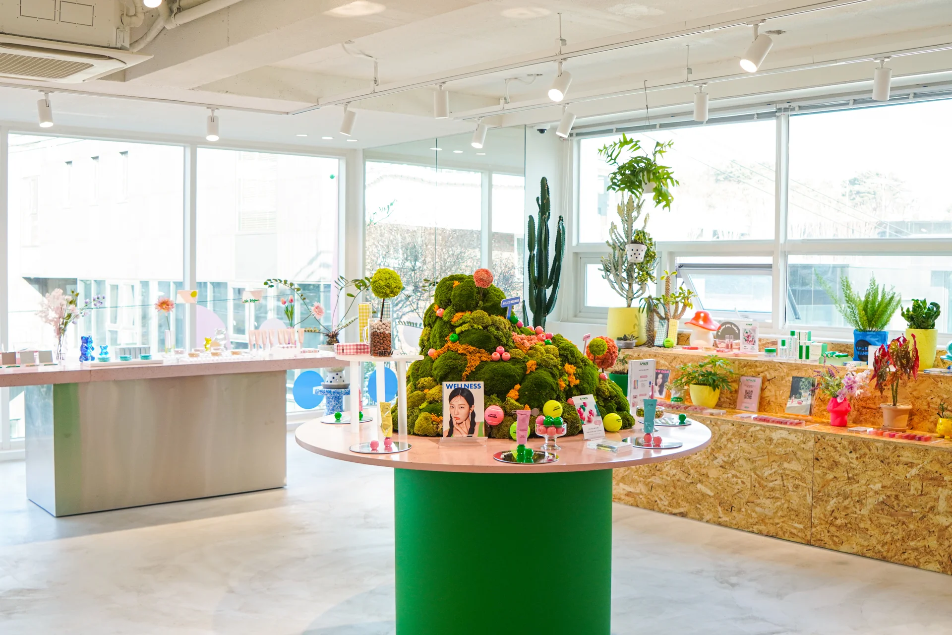 어뮤즈 브랜드 쇼룸 플랜테리어는 이끼를 활용하여 진행하였다.