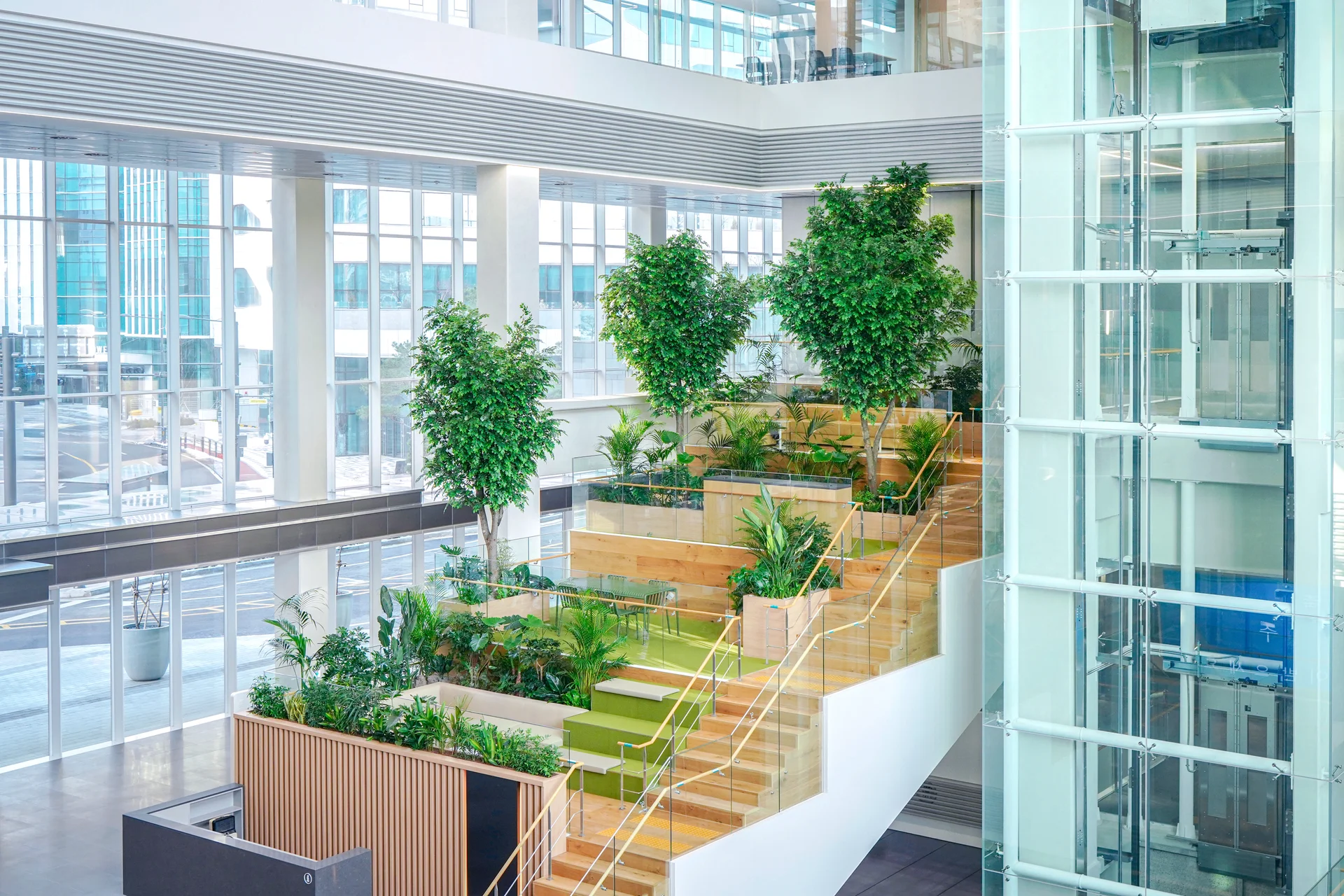 라운지 주변에 관엽식물로 인테리어를 완성하였다.