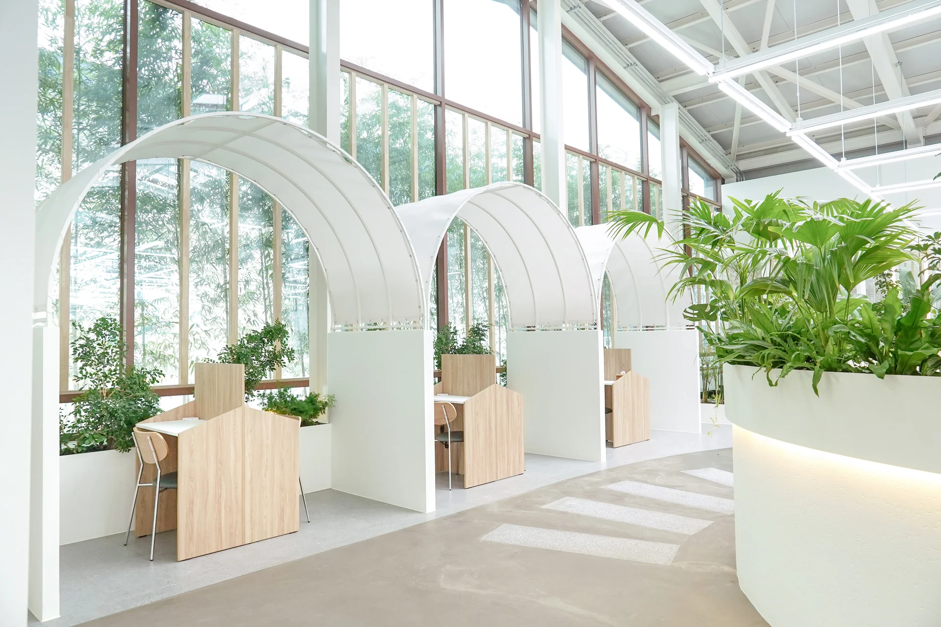 창가 공간에 연출한 플랜테리어로 오렌지자스민과 낮은 실내식물을 활용하였다