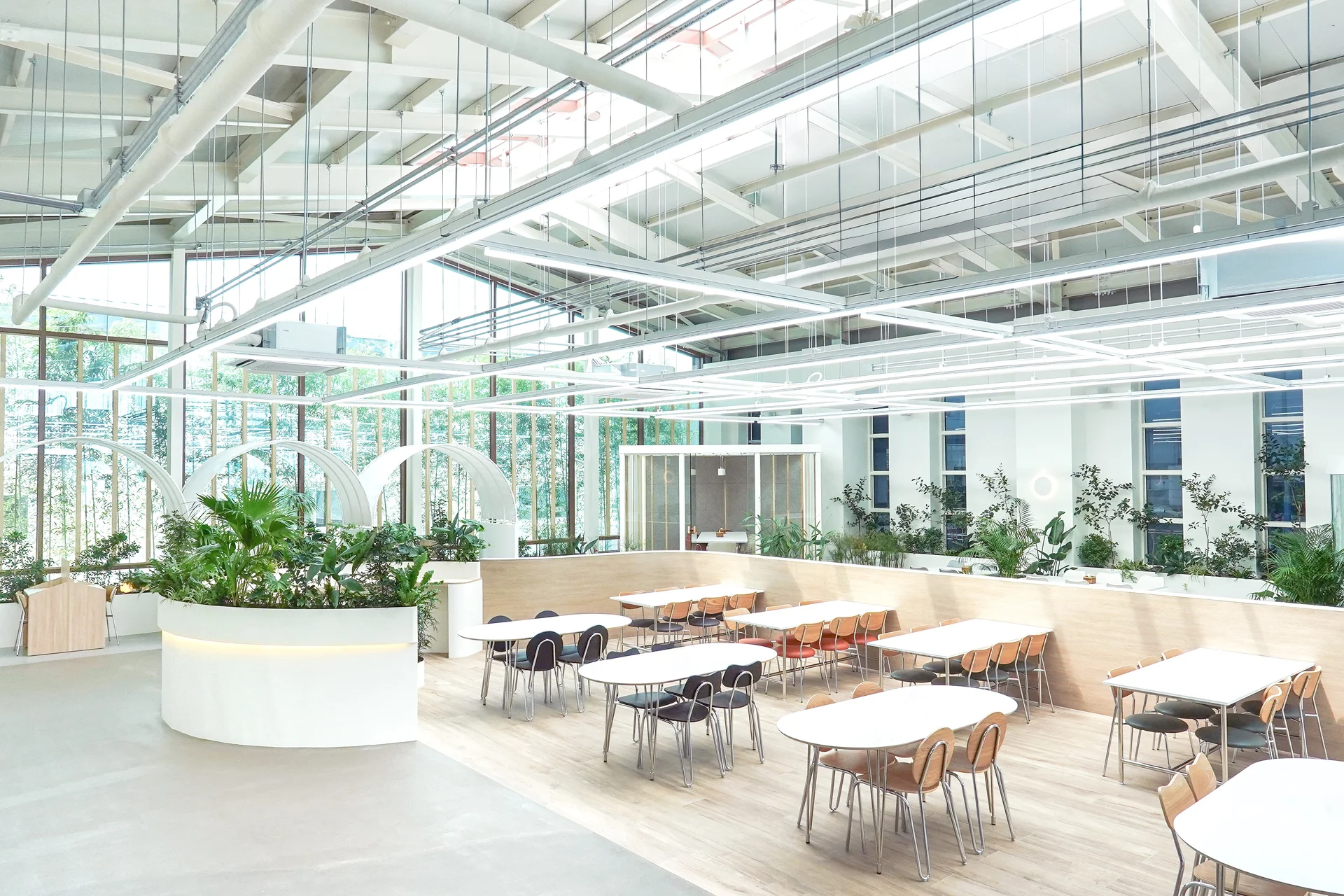 베이커리 카페에 조성한 플랜테리어와 좌석이 한눈에 보인다.