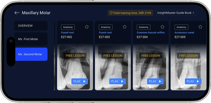 A wide variety of teeth prepared from extracted specimens.