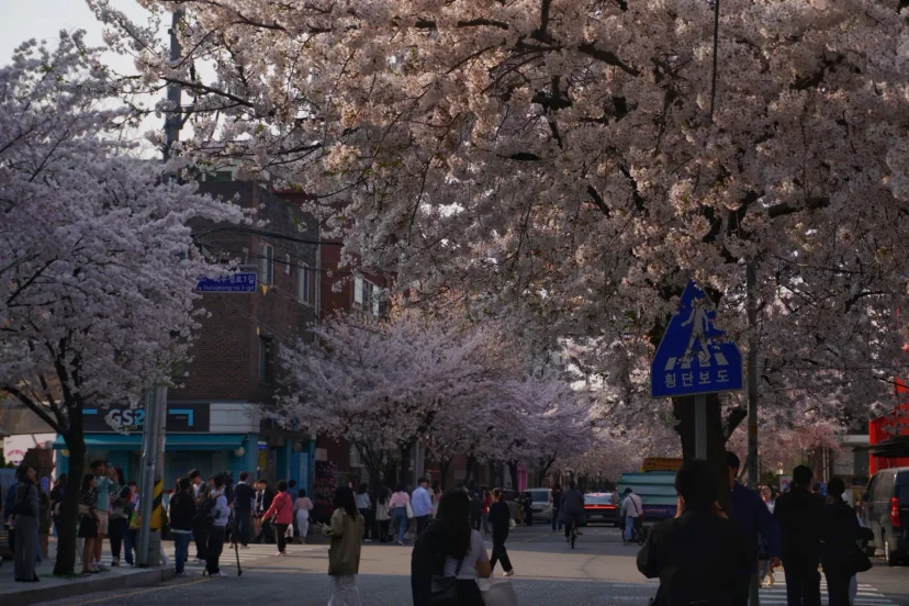 mangwon-dong