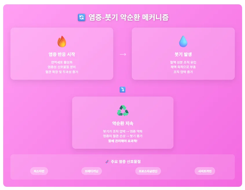 염증 반응 시작, 붓기 발생, 악순환 지속