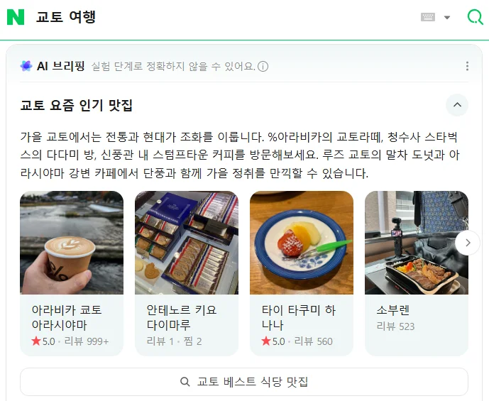 네이버 AI 브리핑 구현 화면 이미지