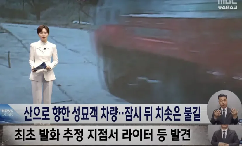 성묘 중 불을 낸 사건의 뉴스