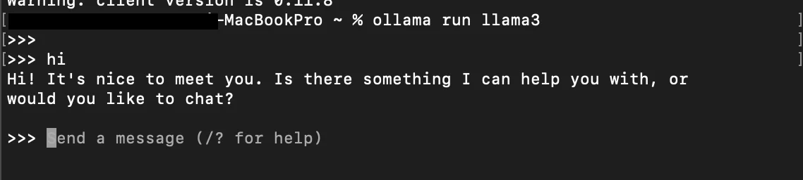 Installing and chatting with Llama 3 via Ollama