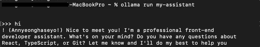 Chatting with a model after applying a Modelfile
