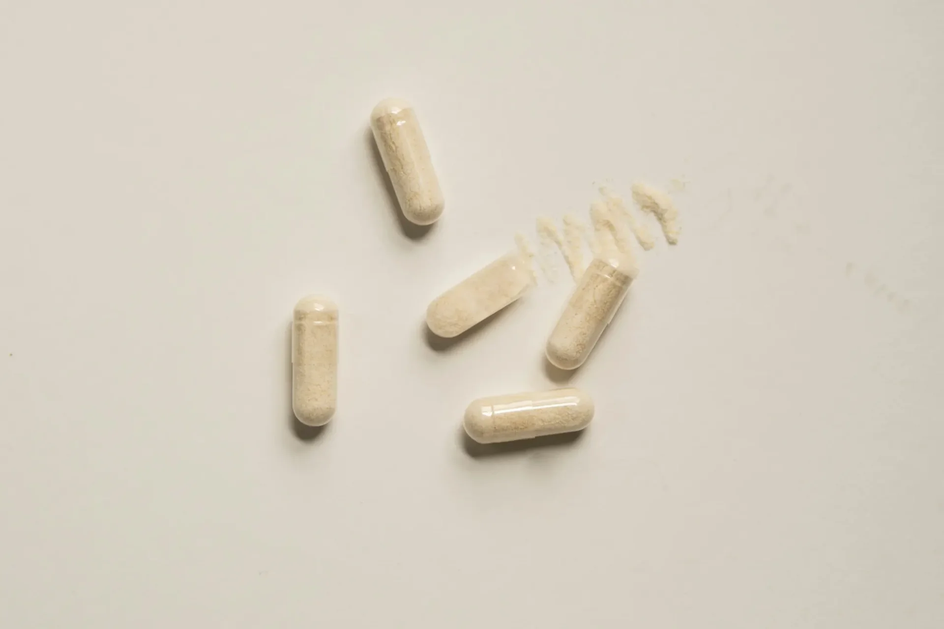 멜라토닌 속방정 서방정 제형