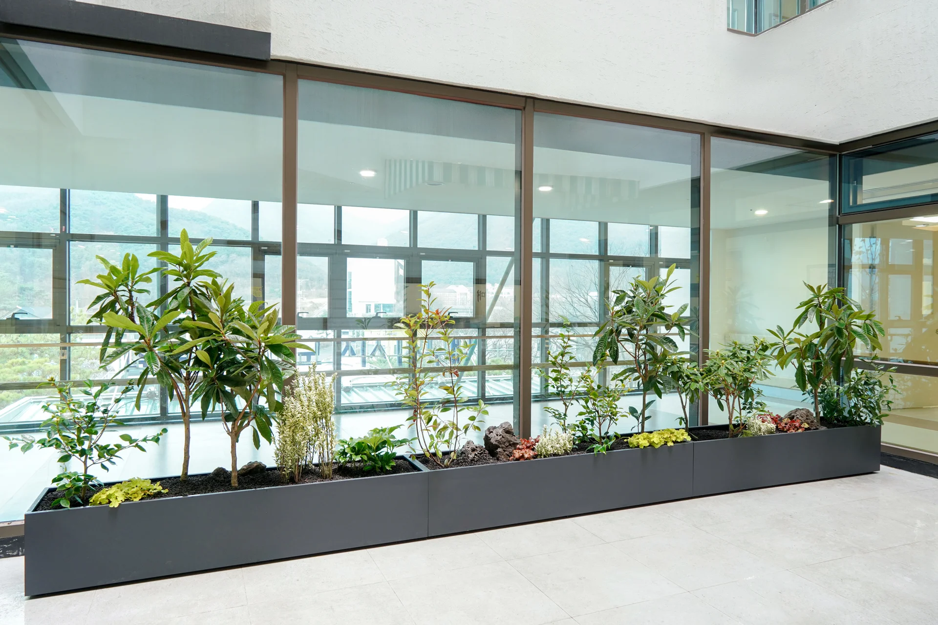 라운지에는 딥 그레이 컬러의 플랜트박스에 식물을 식재하였다.