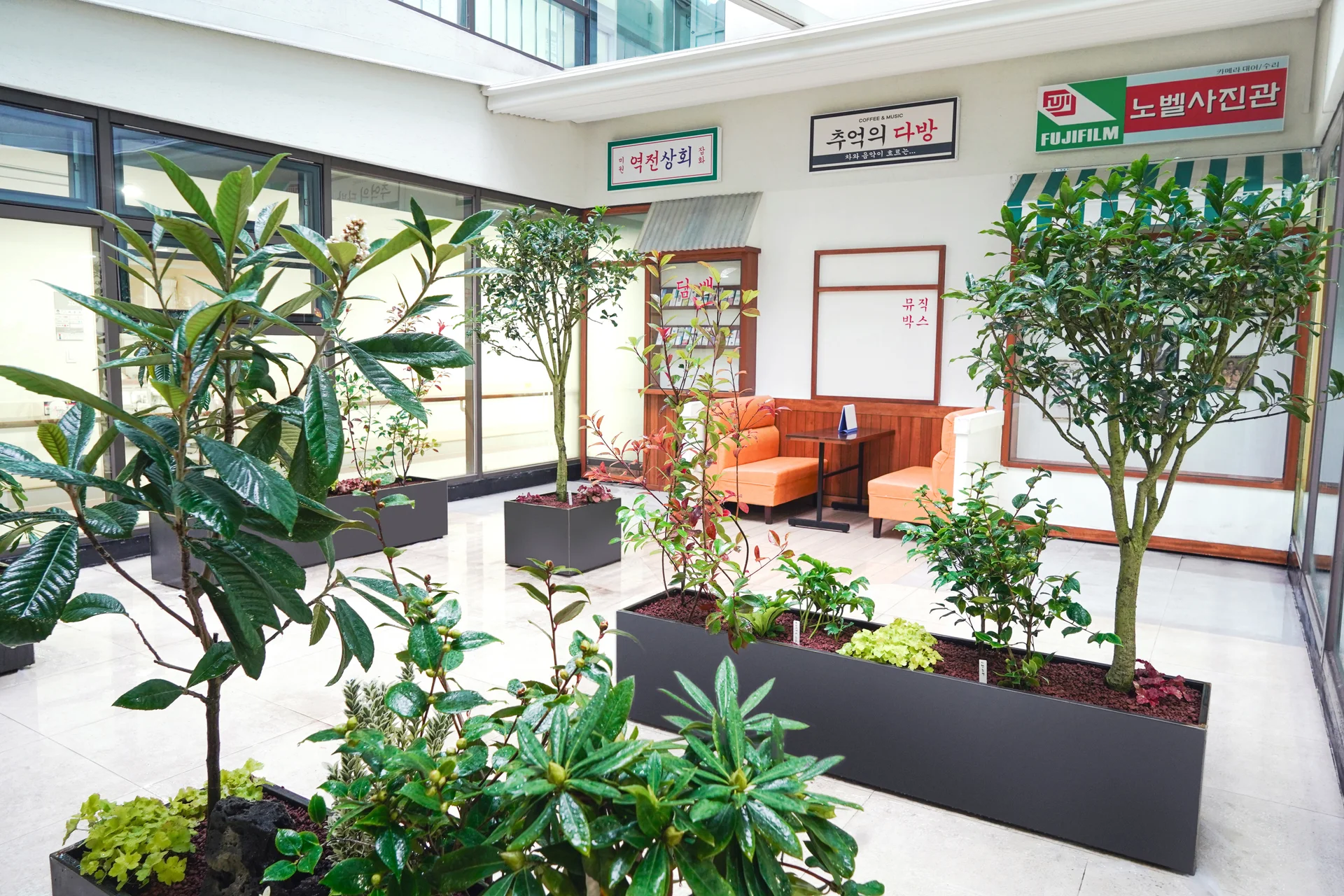 중정에 비정형 배열로 연출한 플랜트박스의 모습이다.