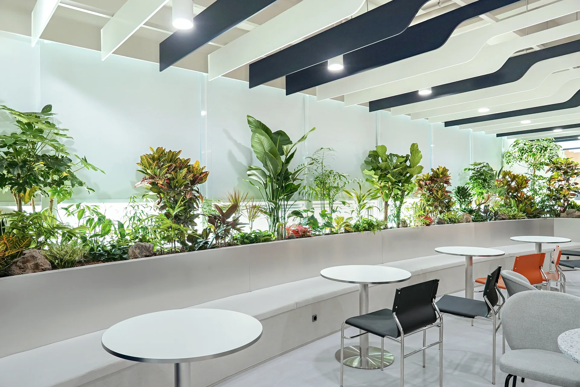 라운지에 연출한 관엽정원으로 오피스 인테리어 디자인 중 회복에 해당한다.